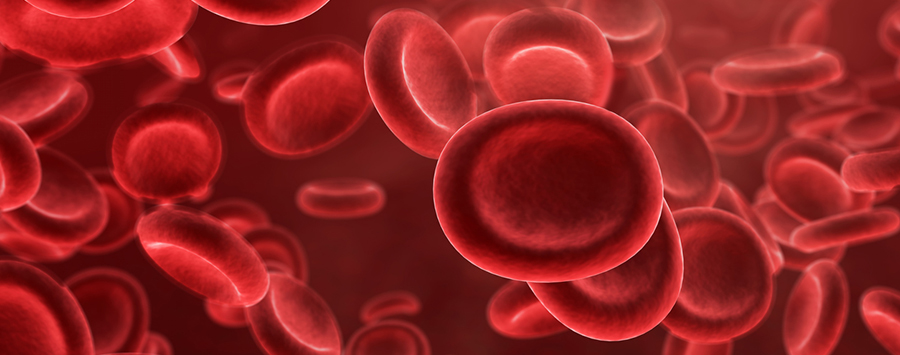 what-is-hemophilia-daily-health-wiz