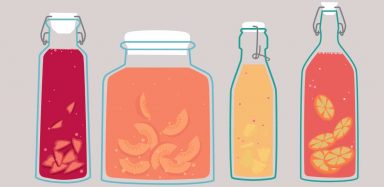A drawing of four different kombucha bottles, all containing fruit