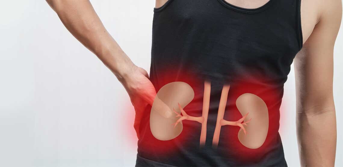 A person holds their left size while a computer generated image of their kidneys shows in front of the person's stomach.